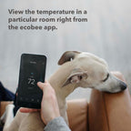 ecobee SmartSensors (2-Pack)