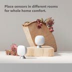 ecobee SmartSensors (2-Pack)