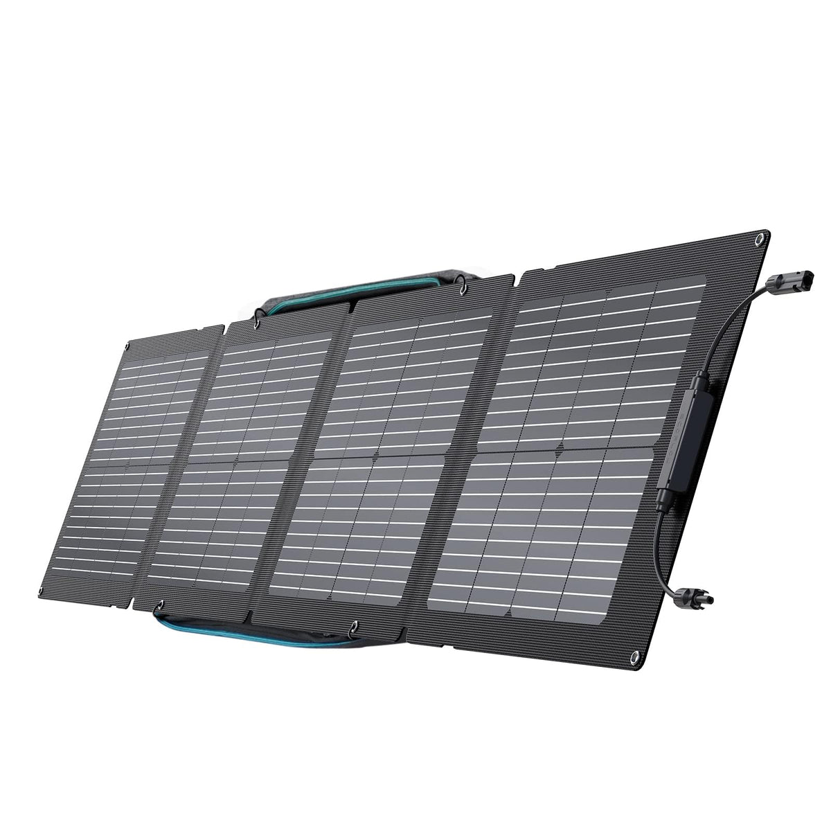 ECOFLOW Portable Solar Panel, Foldable with Carry Case