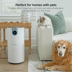 Shark Clean Sense Air Purifier